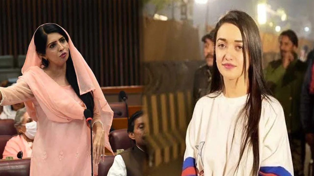 صنم جاوید، عالیہ حمزہ کی درخواست ضمانت پر پراسیکیوٹر سے دلائل طلب