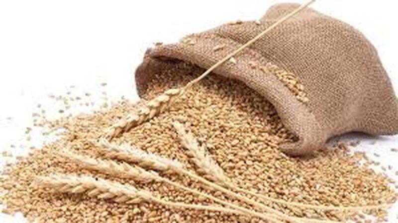 گندم درآمد اسکینڈل کی رپورٹ منظر عام پر نہ آسکی