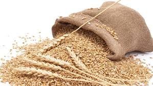 کسانوں کا کل پنجاب اسمبلی کے سامنے دھرنا کا اعلان