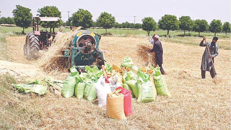 گندم کی عدم خریداری کیخلاف کسانوں کے مظاہرے