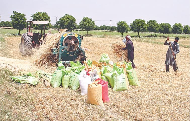 کسان اتحاد کی کل سے پنجاب میں مظاہروں کی دھمکی