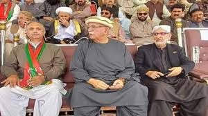 ٹی ٹی اے پی کا آئین کی بحالی کے لیے ملک گیر مہم چلانے کا فیصلہ
