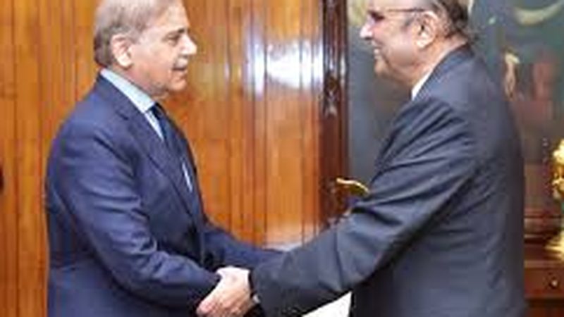 وزیراعظم آفس ایوان صدر کی ہدایات پر توجہ نہیں دے رہا: پیپلز پارٹی