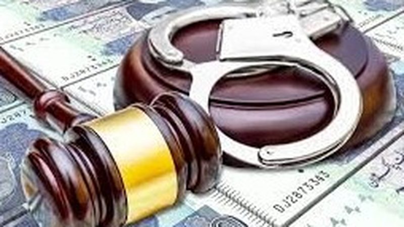 ٹیکس فراڈ اور چوری میں ملوث افراد کو دس سال قید اور بھاری جرمانے کی سزا تجویز