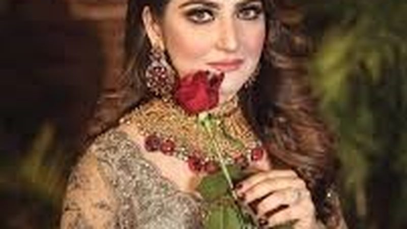 بہت جلد کسی نئے پروجیکٹس میں آنے کا ارادہ ہے: حبا بخاری
