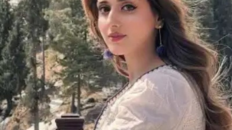 جنت مرزا نے عمر بٹ سے منگنی توڑ دی