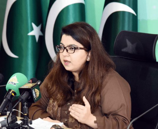 وزارت آئی ٹی نے اپنے وزیر کو ذیلی اداروں کے بورڈ سے نکال دیا