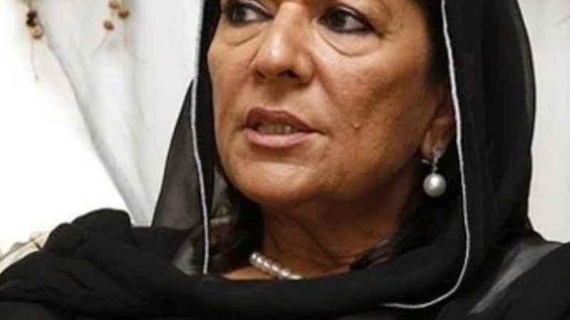 جے آئی ٹی کی علیمہ خان سے 5 گھنٹوں تک تفتیش