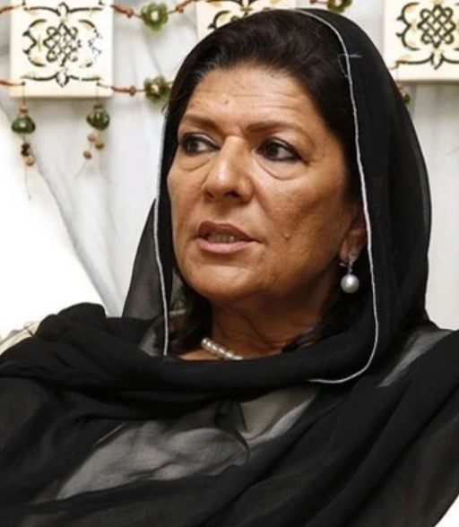 علیمہ خان کی پی ٹی آئی رہنماؤں پر تنقید کی مبینہ آڈیو وائرل