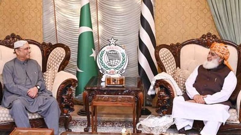 صدر زرداری اور فضل الرحمان کی ممکنہ قانون سازی پر تفصیلی مشاورت