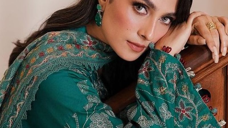 اپنے کام سے رشتوں کی اہمیت کو سیکھا: عائزہ خان