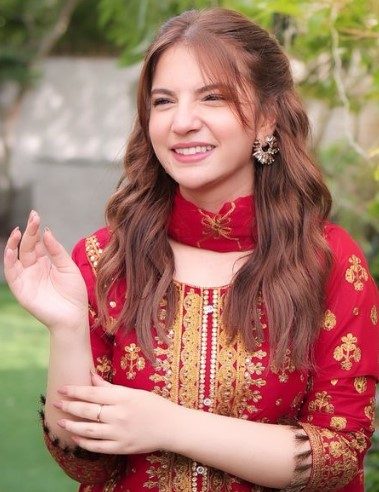 دنانیر مبین نجی ایوارڈ شو کے دوران حادثے سے بال بال بچی