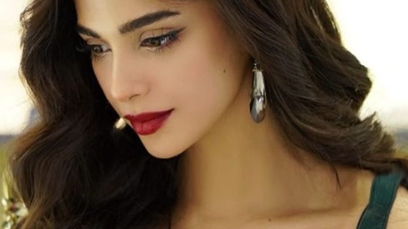 سونیا حسین کی تصاویر دیکھ کر مداح تشویش میں مبتلا