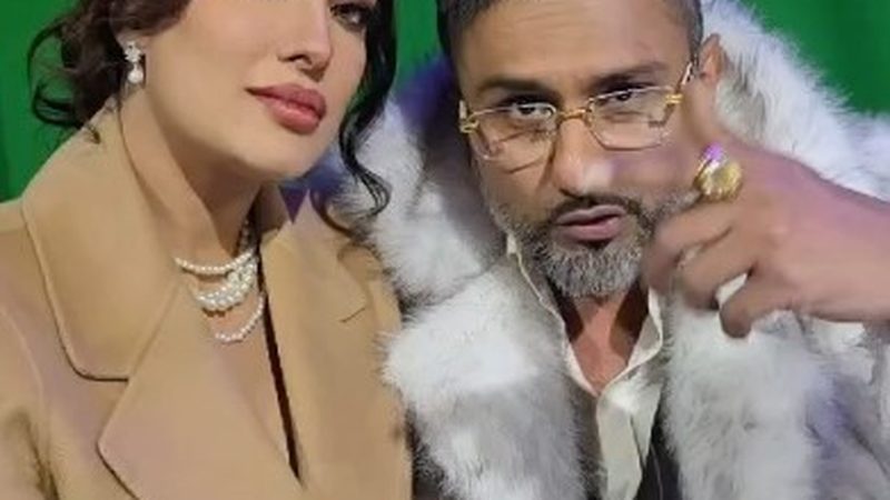بھارتی گلوکار ہنی سنگھ کی مہوش حیات کے ساتھ چھیڑ چھاڑ
