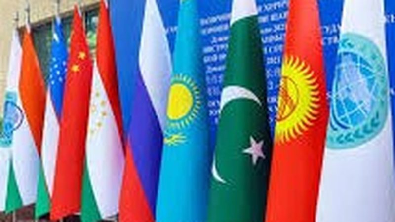 ایس سی او سربراہی اجلاس میں شرکت کیلئے وفود کی آمد