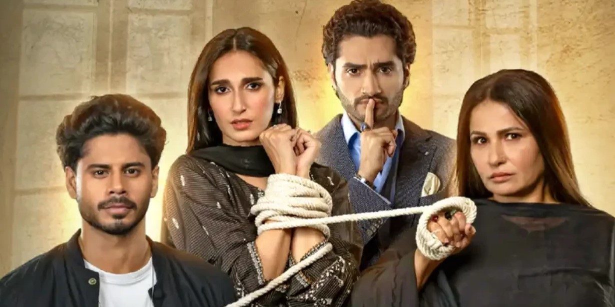 ڈرامہ سیریل ’گرہیں‘ پر پابندی کا مطالبہ