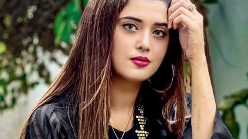 ایک اور مشہور پاکستانی سوشل میڈیا انفلوئنسرکی مبینہ نجی ویڈیو لیک