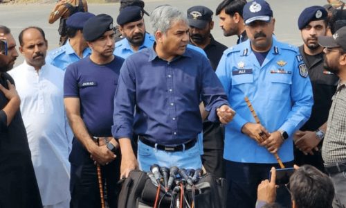 PTI میں صرف ایک خفیہ قیادت بیٹھی ہے جو سب کنٹرول کر رہی ہے: وزیرِ داخلہ
