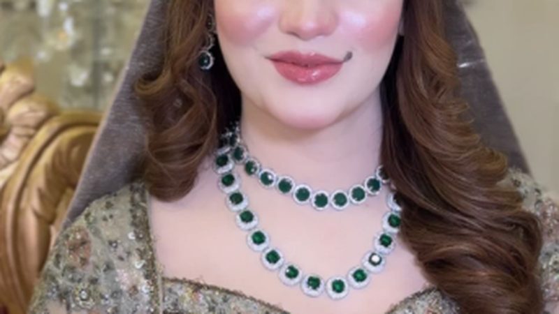 نیلم منیر نے بھی ٹک ٹاک اکاؤنٹ بنا لیا