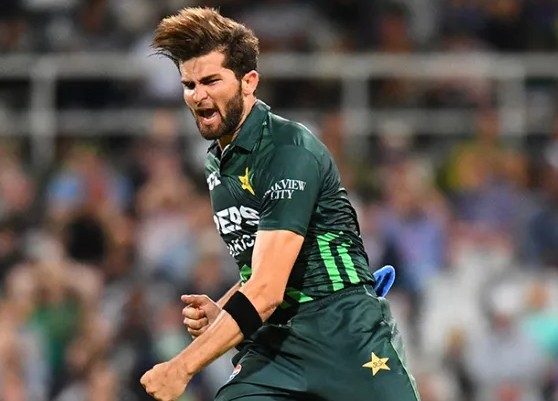 دوسرا ون ڈے: پاکستان نے جنوبی افریقہ کو 81 رنز سے ہرا دیا