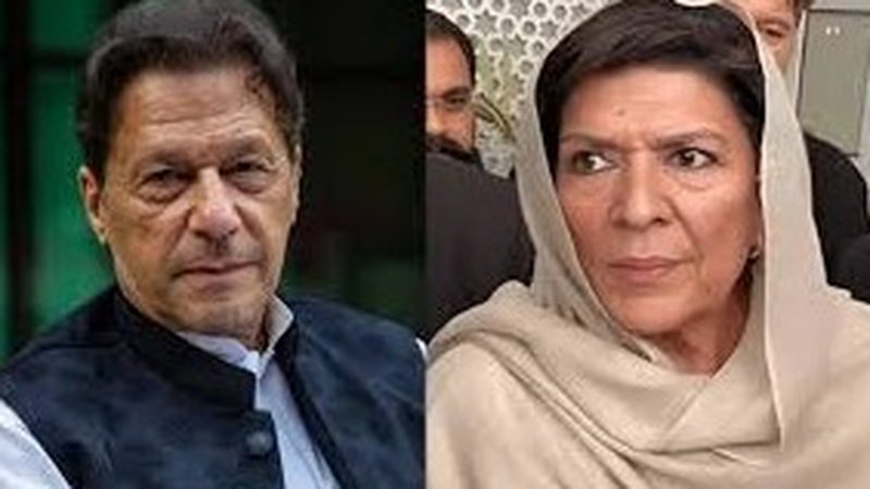 اگلے تین سے چار مہینے تو عمران خان پکے جیل میں رہیں گے: علیمہ خان
