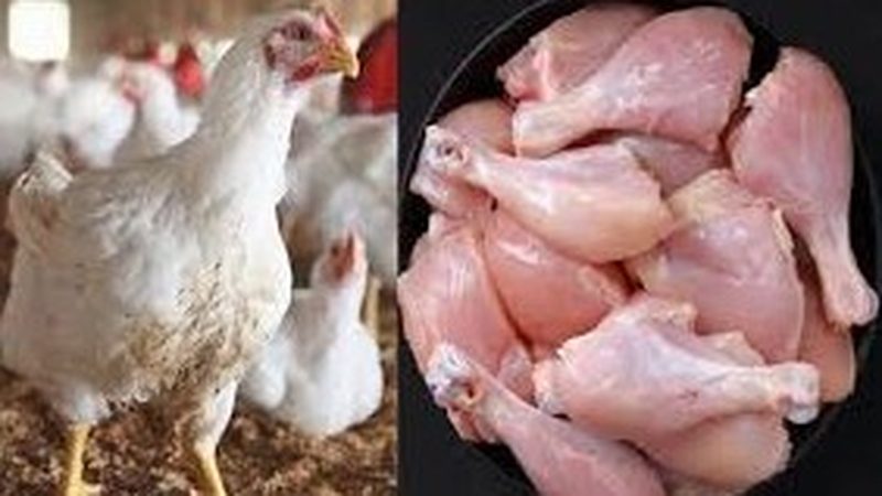ملک بھر میں مرغی کی قیمت میں ہوشربا اضافہ