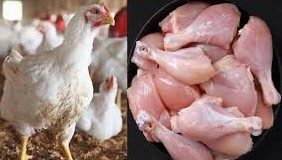 ملک بھر میں مرغی کی قیمت میں ہوشربا اضافہ