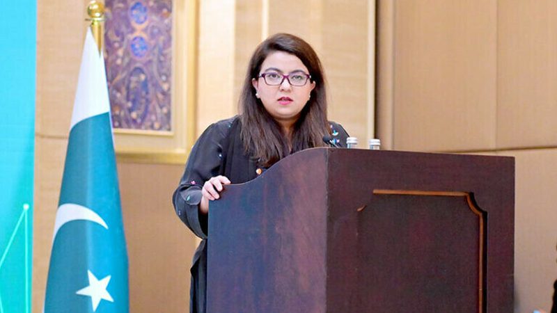 سرکاری ادارے ڈیجیٹل نہیں ہونا چاہتے: شزہ فاطمہ