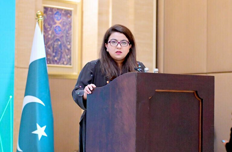 سرکاری ادارے ڈیجیٹل نہیں ہونا چاہتے: شزہ فاطمہ