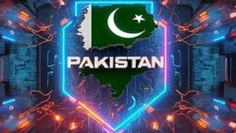 ڈیجیٹل نیشن پاکستان بل:  آج سینٹ کمیٹی طلب
