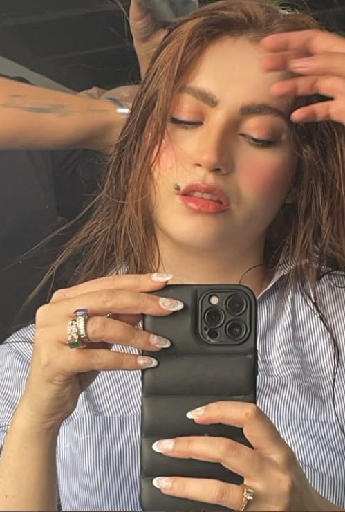 شادی کے ایک ماہ کے اندر ہی نیلم منیر کی کام پر واپسی
