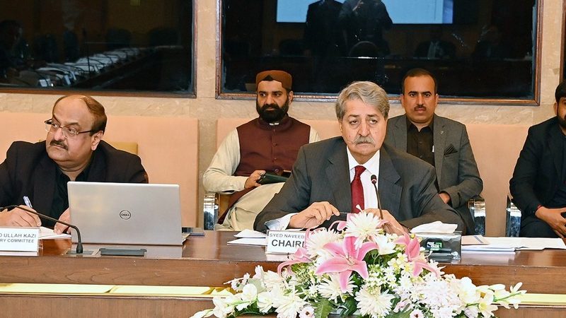 نان فائلر کو پہلی بار 50 لاکھ روپے مالیت کی جائیداد خریداری کی اجازت:  کمیٹی خزانہ کمیٹی