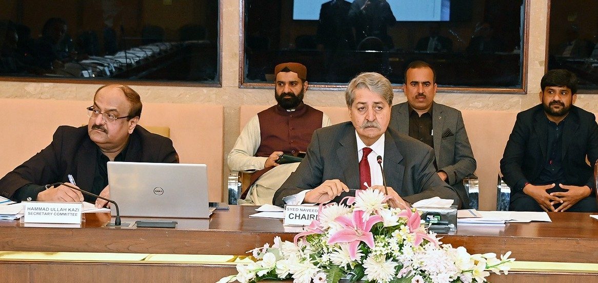 نان فائلر کو پہلی بار 50 لاکھ روپے مالیت کی جائیداد خریداری کی اجازت:  کمیٹی خزانہ کمیٹی