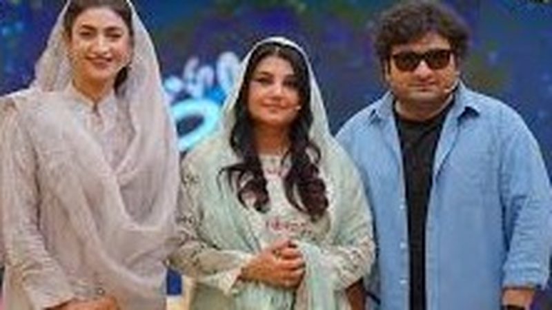 بڑا بھائی ہمیشہ ولن ہی ہوتا ہے: دانش نواز