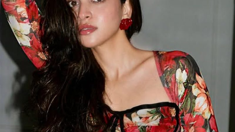 ابھی ان کی شادی نہیں ہوئی ہے: انمول بلوچ