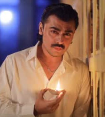 تمام بھارتی مداحوں کو محبت بھیجتا ہوں