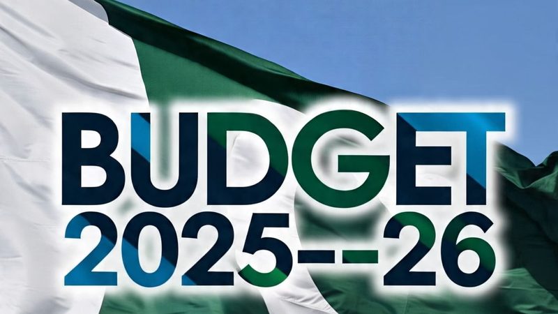 ٹیکس چوری پر جرمانے نافذ کیے جانے کی تجویز