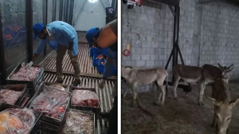 گدھے کے گوشت کی سپلائی کا انکشاف