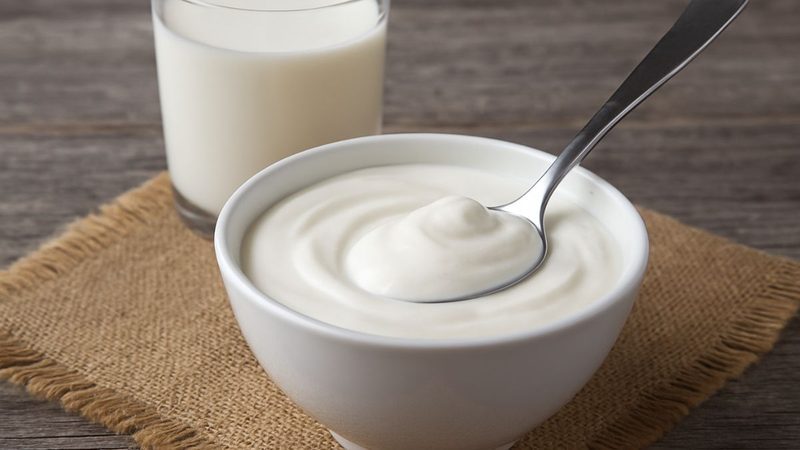 دہی میں پروبائیوٹکس طویل عمر کا راز بن سکتے ہیں