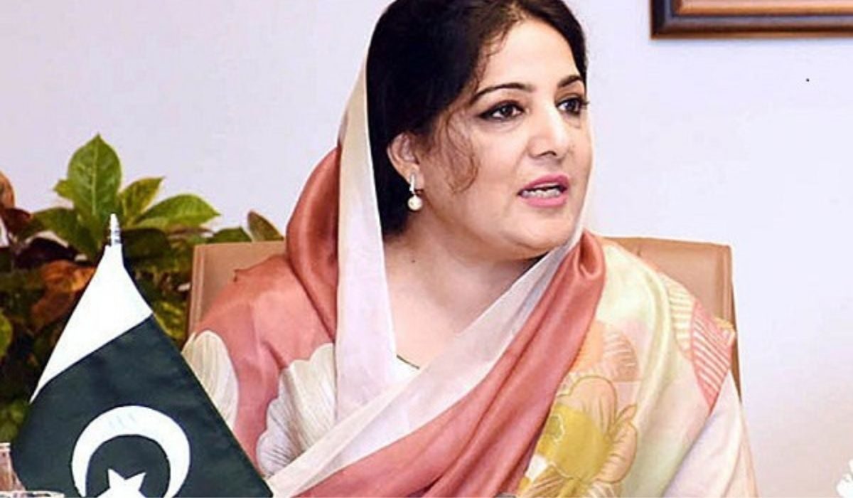 انوشہ رحمان نے آئی ٹی کمیٹی چھوڑ دی