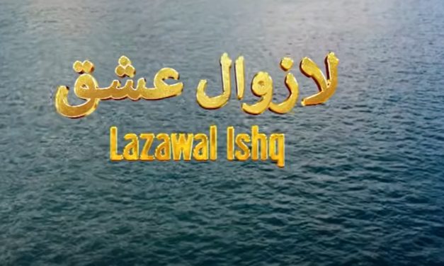 ریئلٹی شو ’لازوال عشق‘ یوٹیوب پر ریلیز