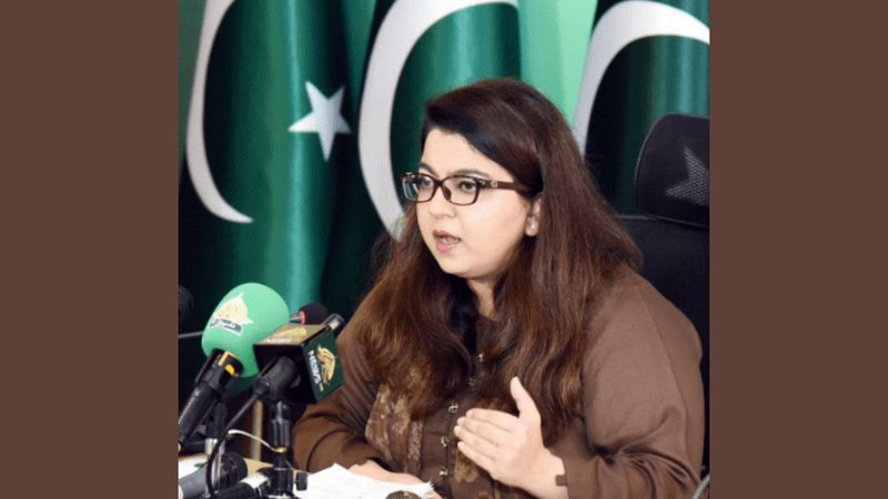 شزا فاطمہ پر حکومتی اراکین کی سخت تنقید