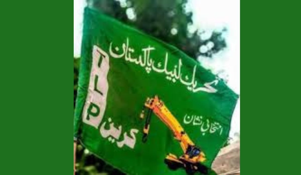 سپریم کورٹ میں ریفرنس دائر نہ کرنے کا فیصلہ