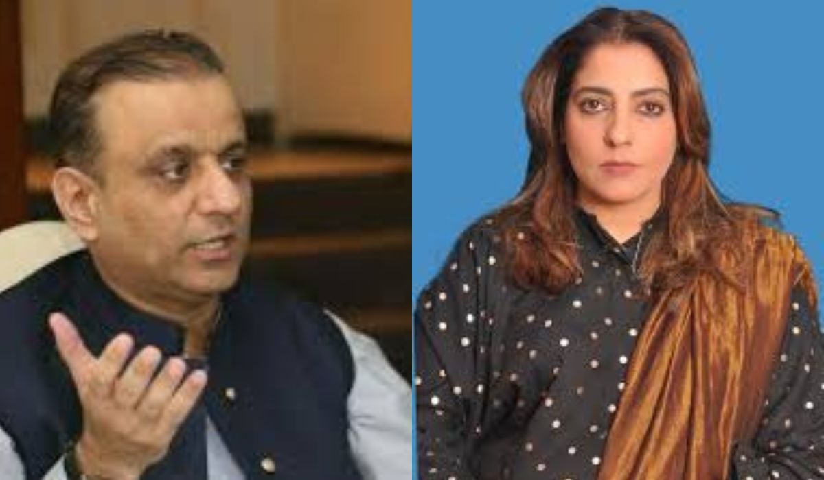 علیم خان اور پلوشہ خان میں تلخ کلامی