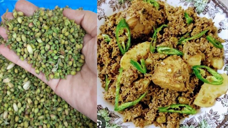 سہانجنا (مورنگا) کا سالن، صحت کا قدرتی تحفہ