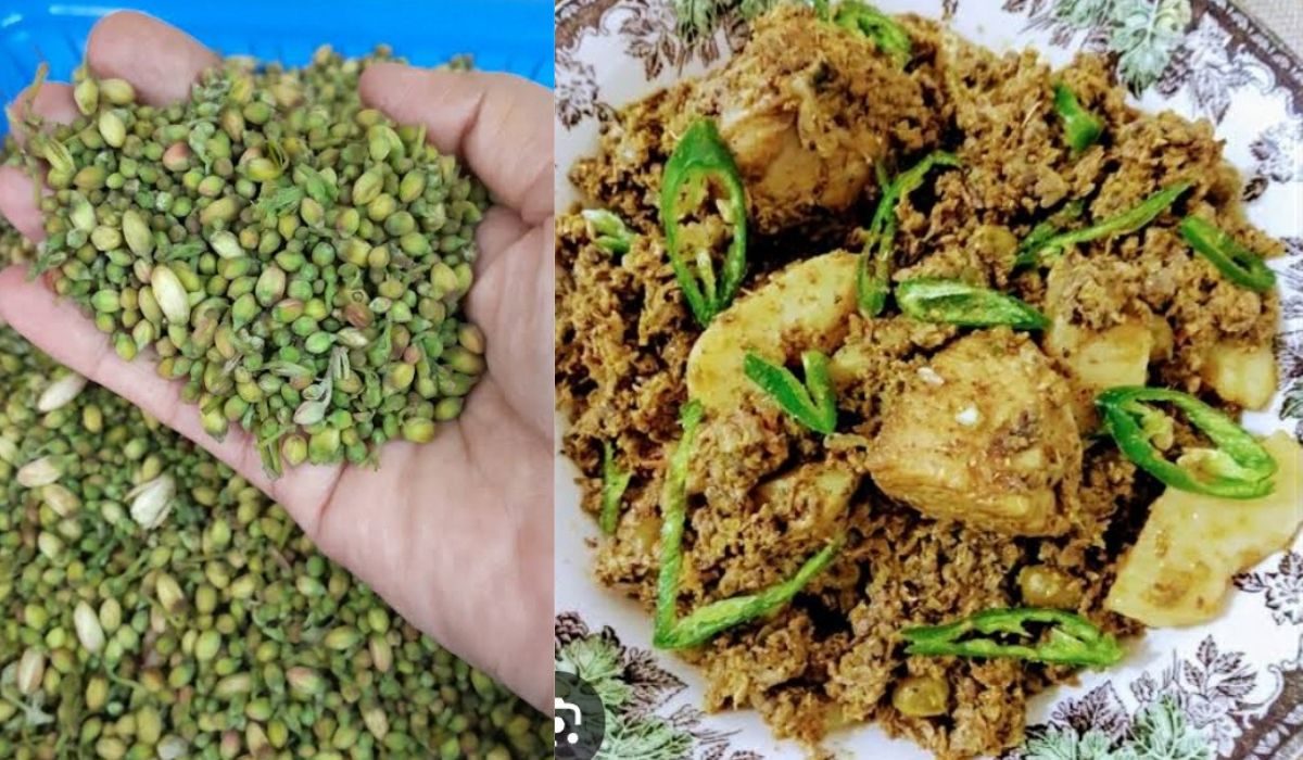 سہانجنا (مورنگا) کا سالن، صحت کا قدرتی تحفہ