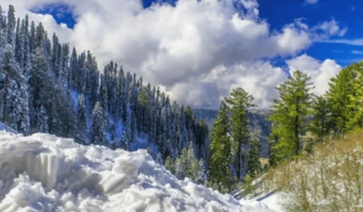شدید سردی اور برفباری کا سلسلہ جاری
