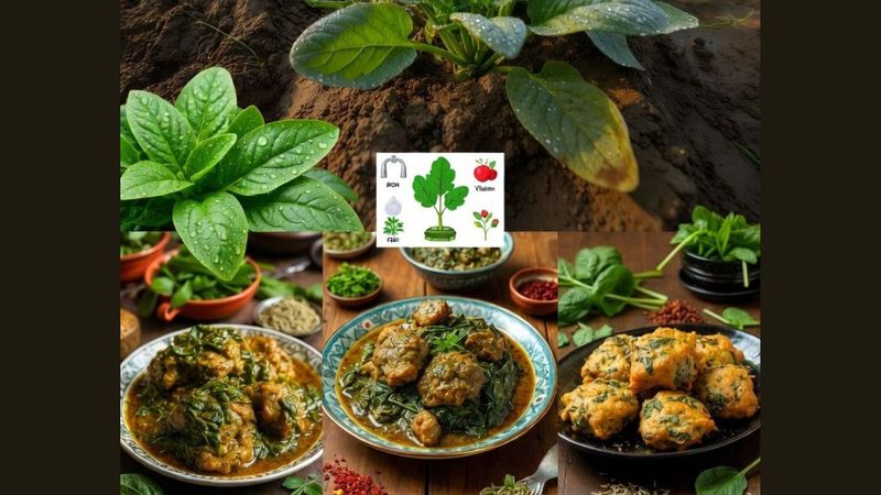 پالک: غذائی خزانہ جو پاکستان میں صحت مند زندگی کا راز ہے