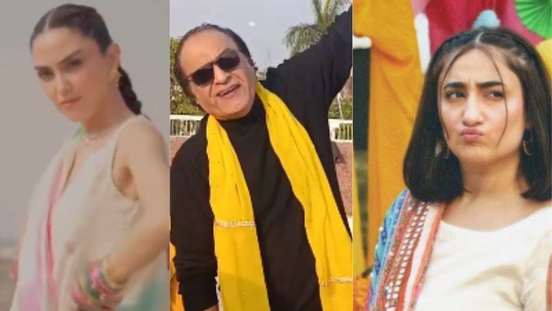بسنت میں شوبز، سوشل میڈیا شخصیات بھی بھرپور شریک