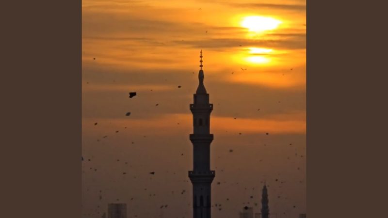 بسنت 2026: تین روزہ رنگین جشن اختتام پذیر